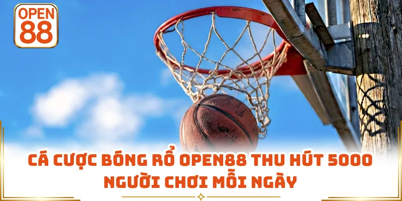 Cá Cược Bóng Rổ OPEN88 Thu Hút 5000 Người Chơi Mỗi Ngày