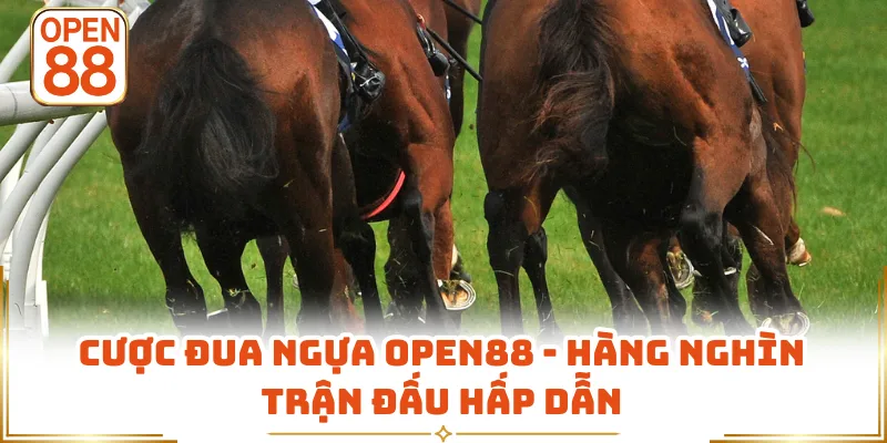 Cược Đua Ngựa OPEN88 - Hàng Nghìn Trận Đấu Hấp Dẫn